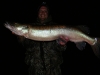 Pete 43" Hog Wobbler