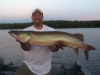 Chippewa Flowage 46.5"