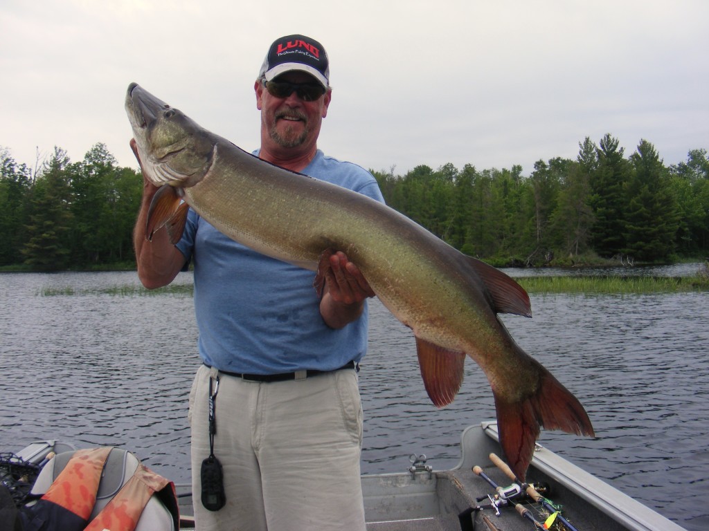 49" Musky Chippewa Flowage | Pete Rich Guide Service